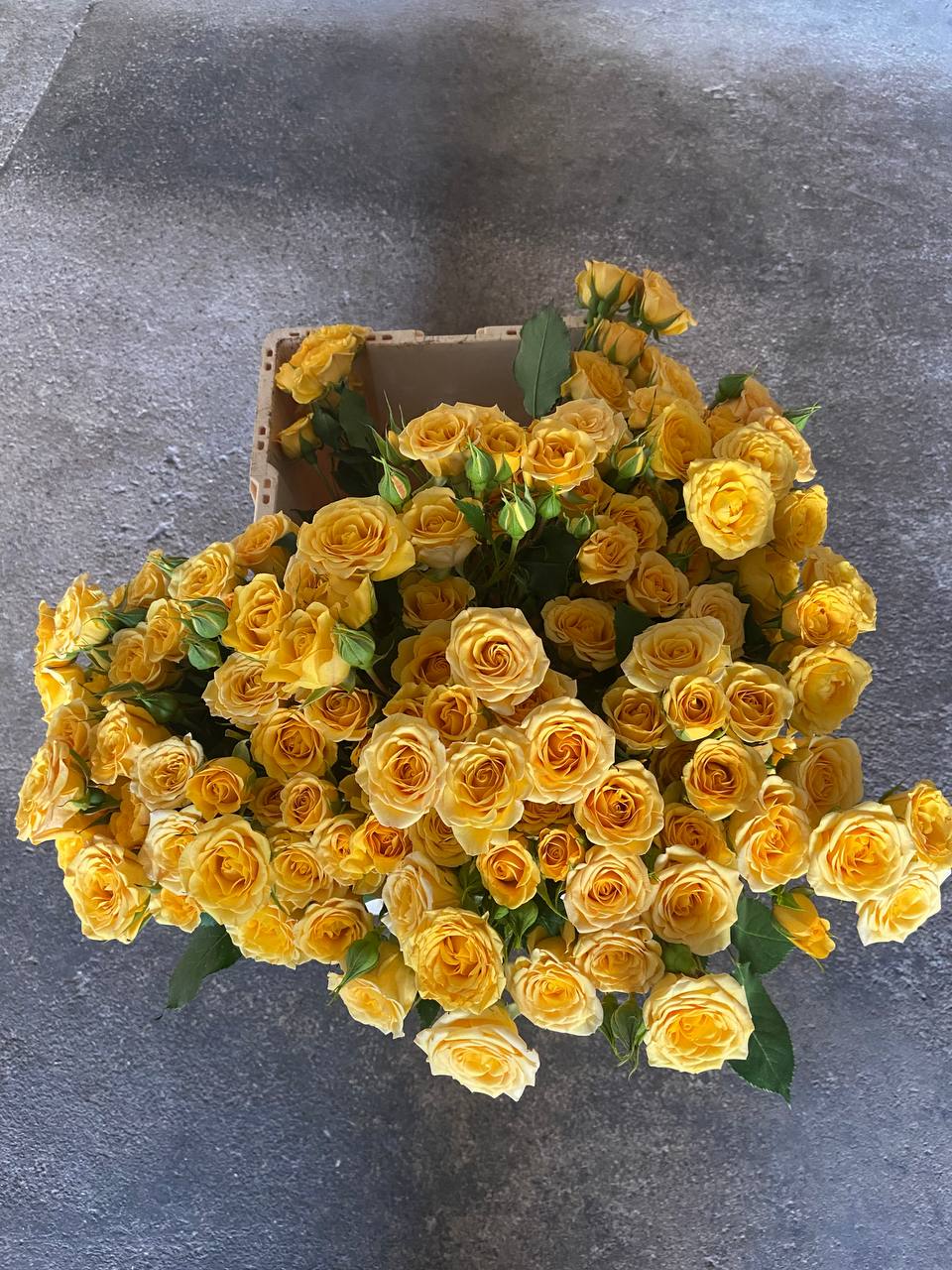 Yellow Spray roses