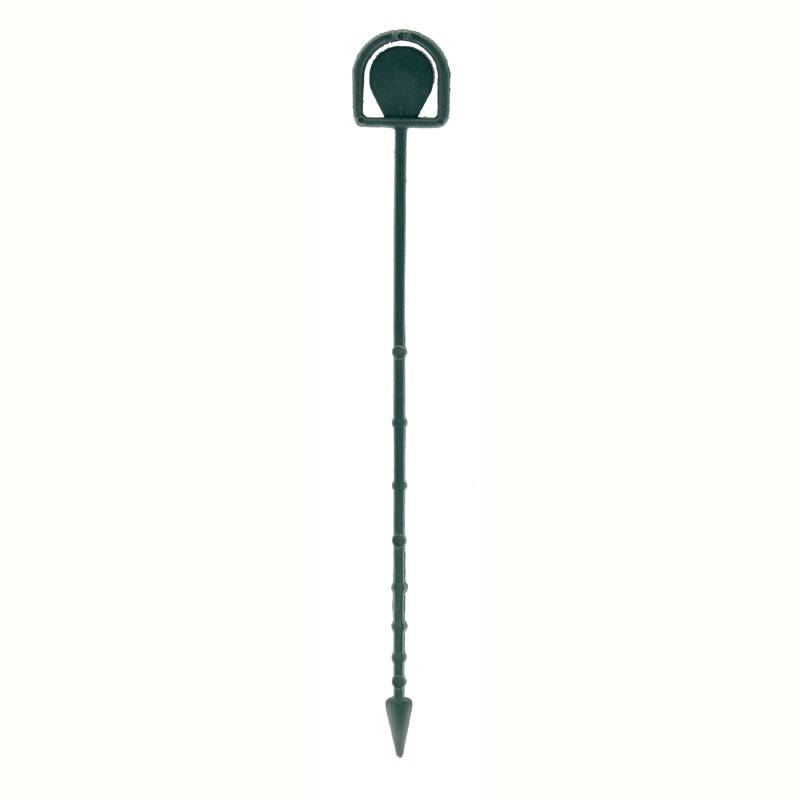 Cardettes Green (H23cm) (PK100)