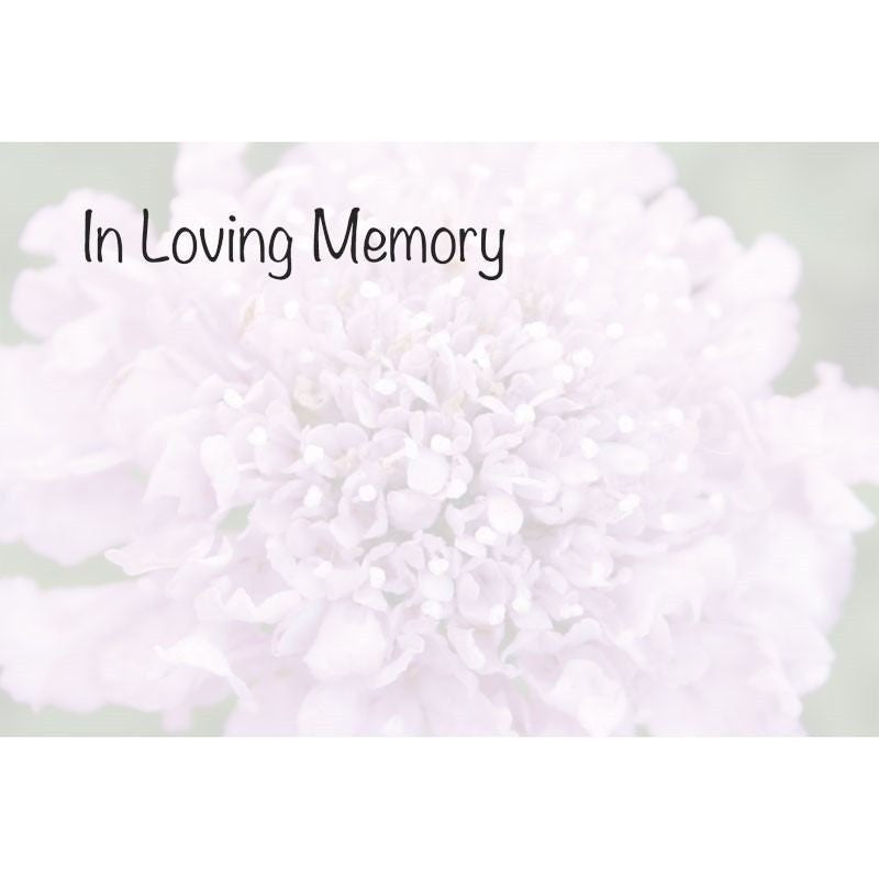 Cards: In Loving Memory Pink Sacbious Cards (x50)