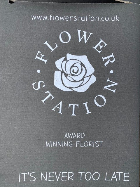 Flower Station Overnight Boxes (x10)