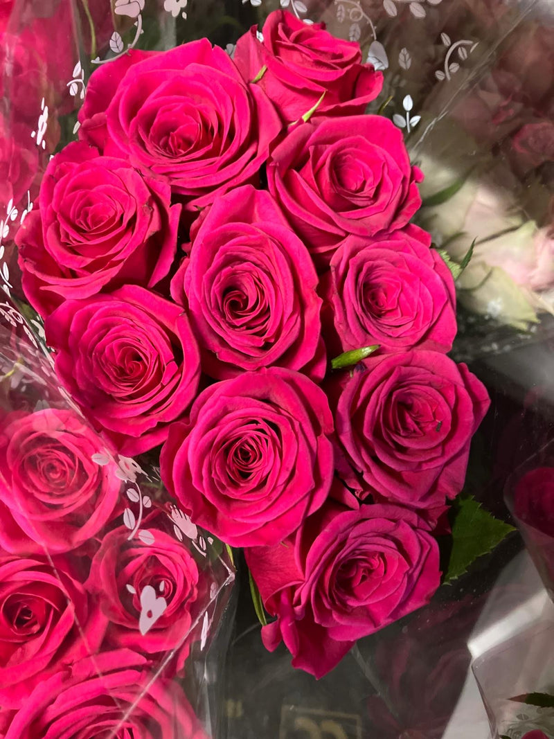 African roses - MIX (light-dark pink, two tones, orange)