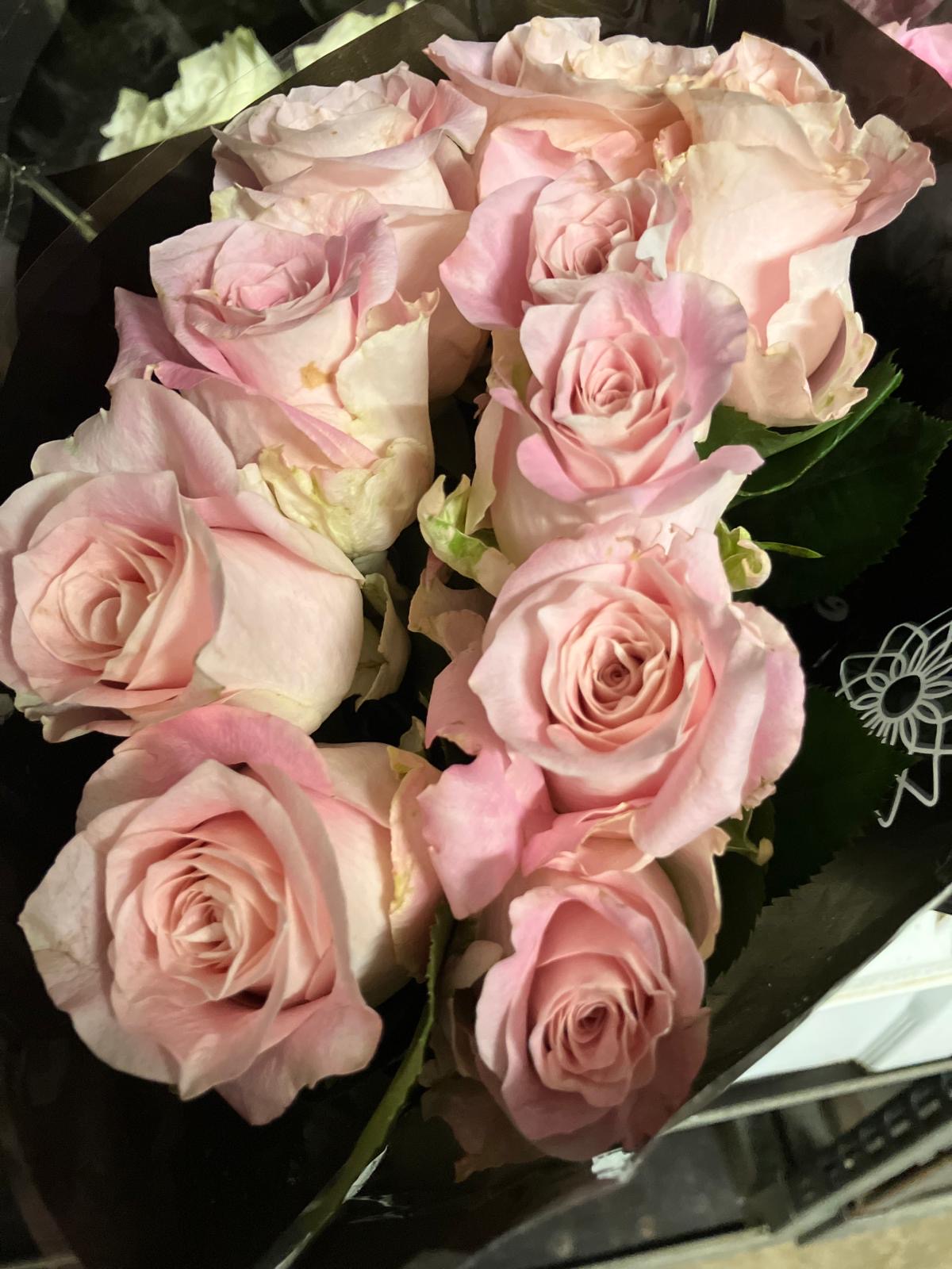 African roses - MIX (light-dark pink, two tones, orange)