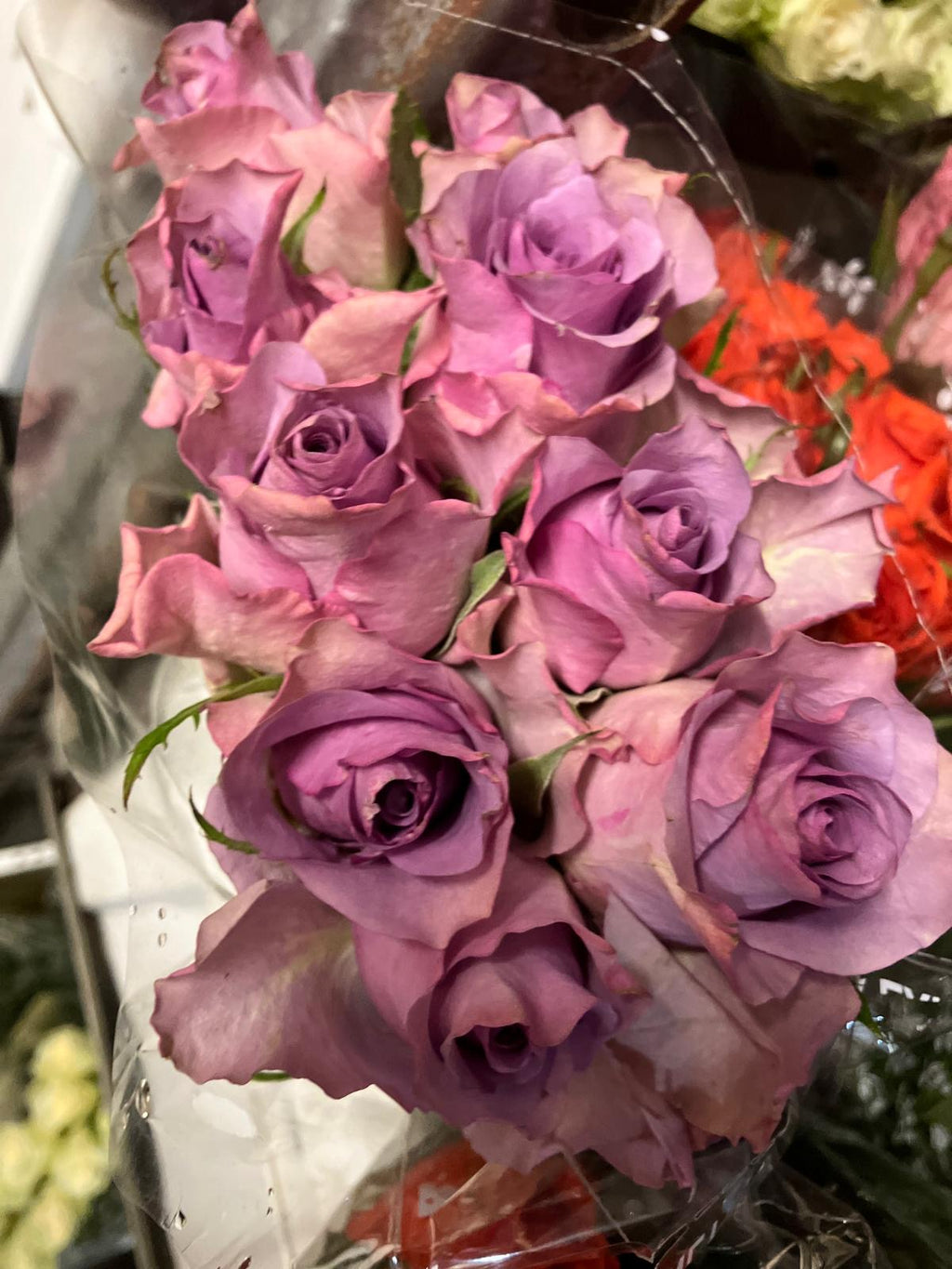 African roses - MIX (light-dark pink, two tones, orange)