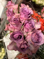 African roses - MIX (light-dark pink, two tones, orange)