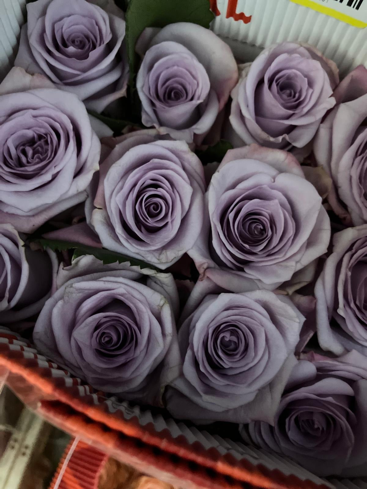 Ecuadorian ROSE