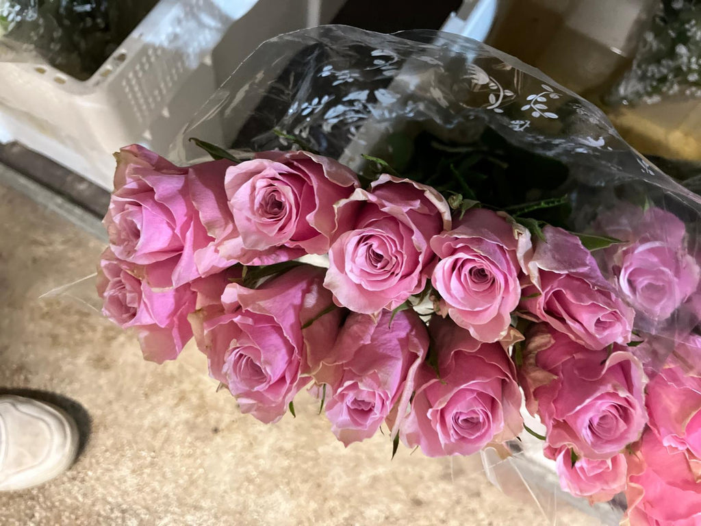 African roses - MIX (light-dark pink, two tones, orange)