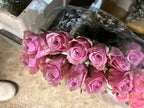 African roses - MIX (light-dark pink, two tones, orange)