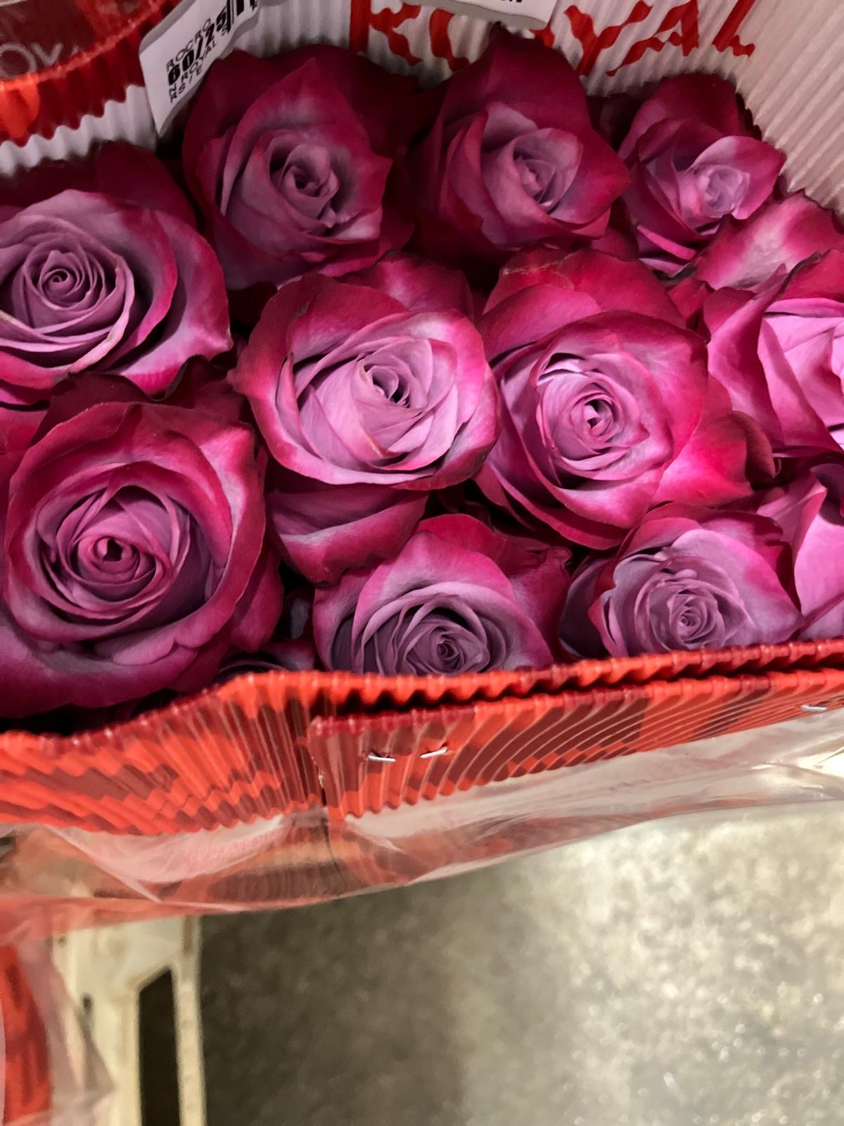 Ecuadorian ROSE