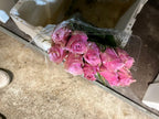 African roses - MIX (light-dark pink, two tones, orange)