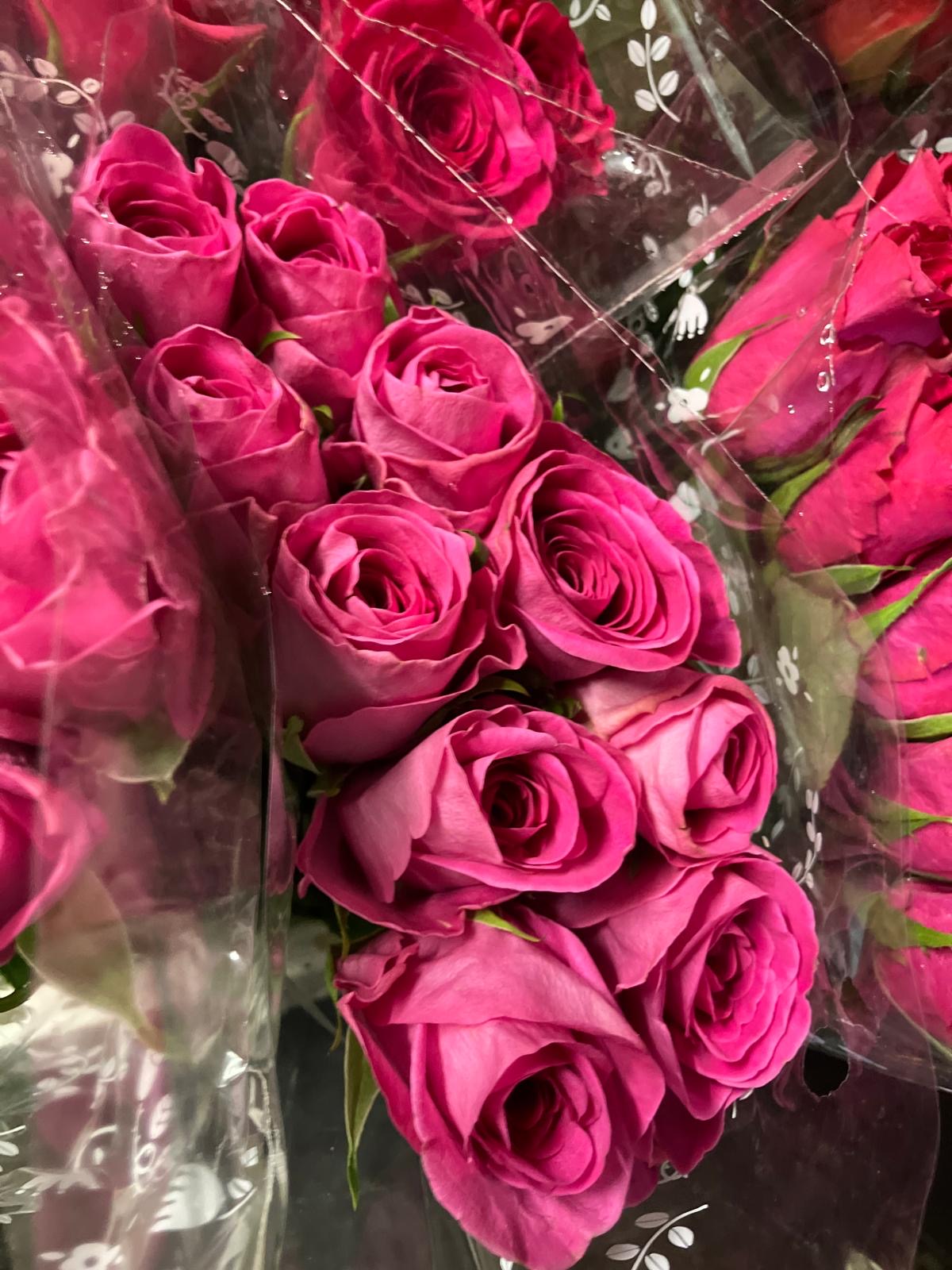 African roses - MIX (light-dark pink, two tones, orange)