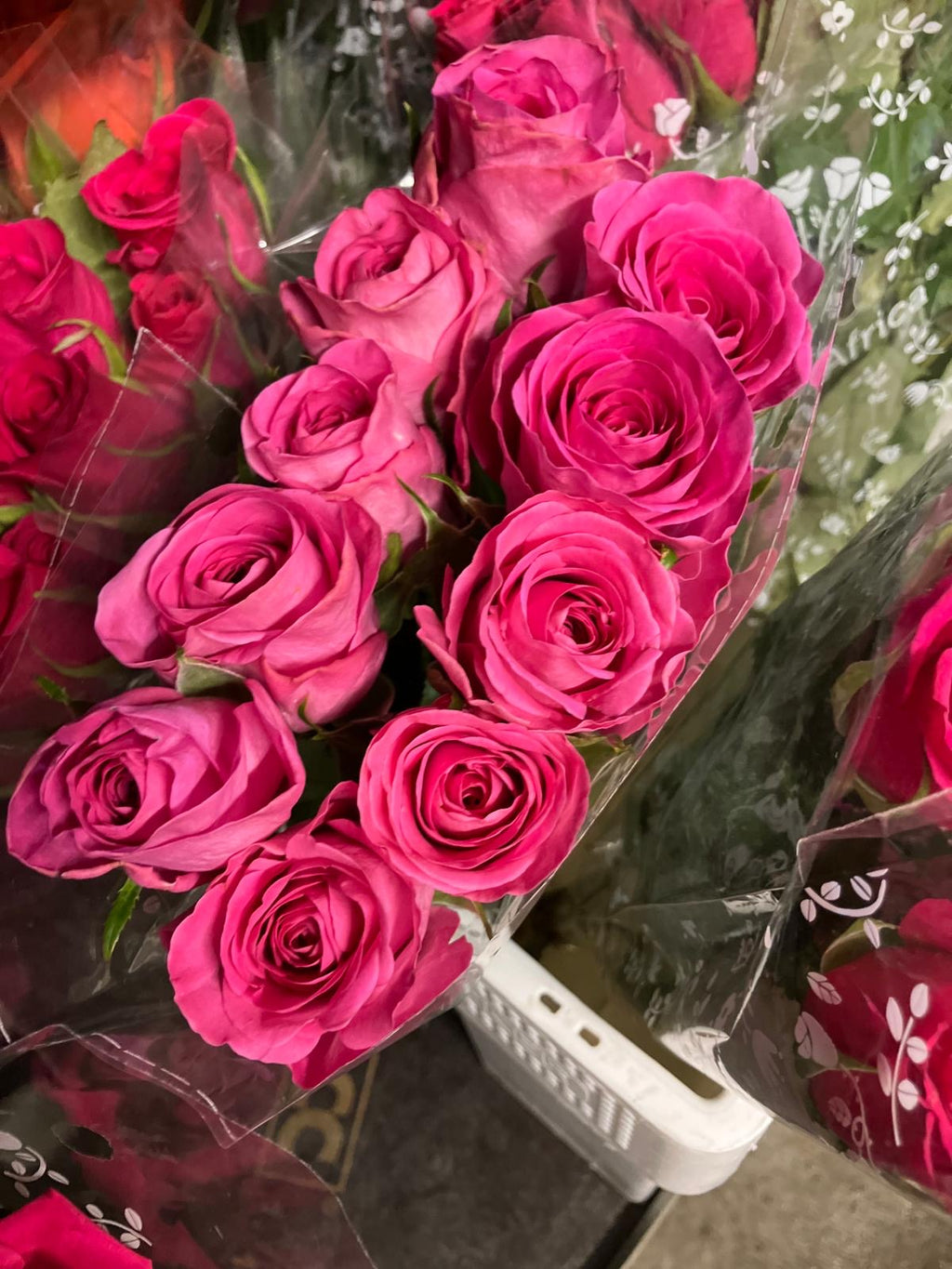 African roses - MIX (light-dark pink, two tones, orange)