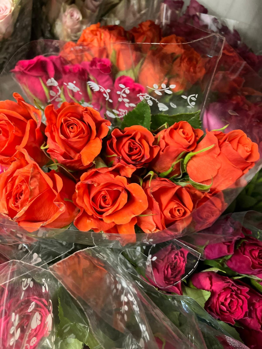 African roses - MIX (light-dark pink, two tones, orange)