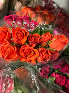 African roses - MIX (light-dark pink, two tones, orange)