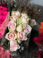 African roses - MIX (light-dark pink, two tones, orange)