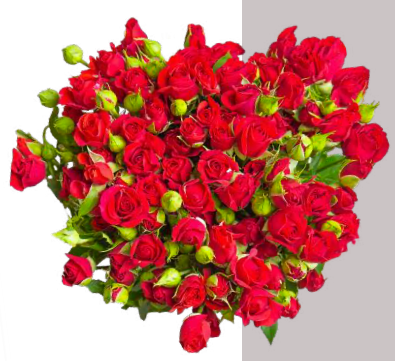 Spray Roses Mirabel