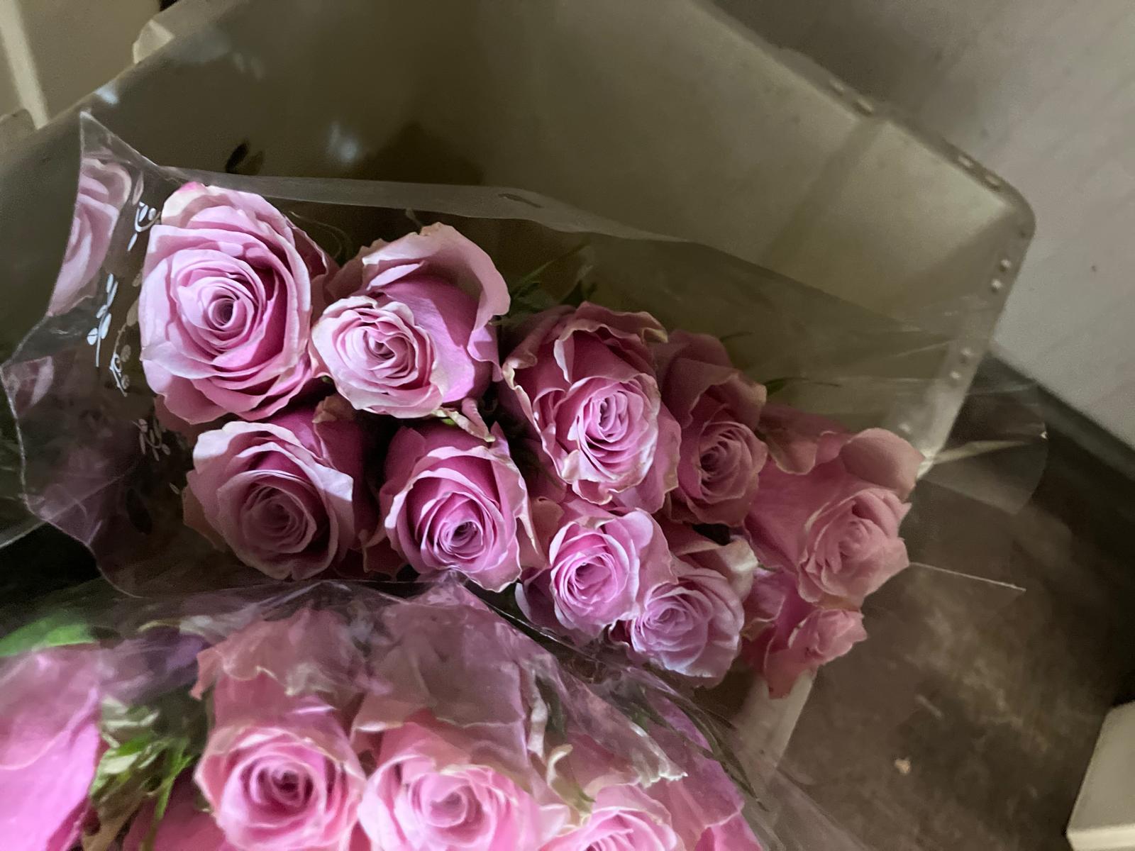 African roses - MIX (light-dark pink, two tones, orange)