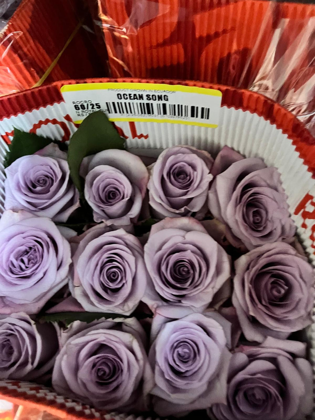 Ecuadorian ROSE