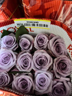 Ecuadorian ROSE