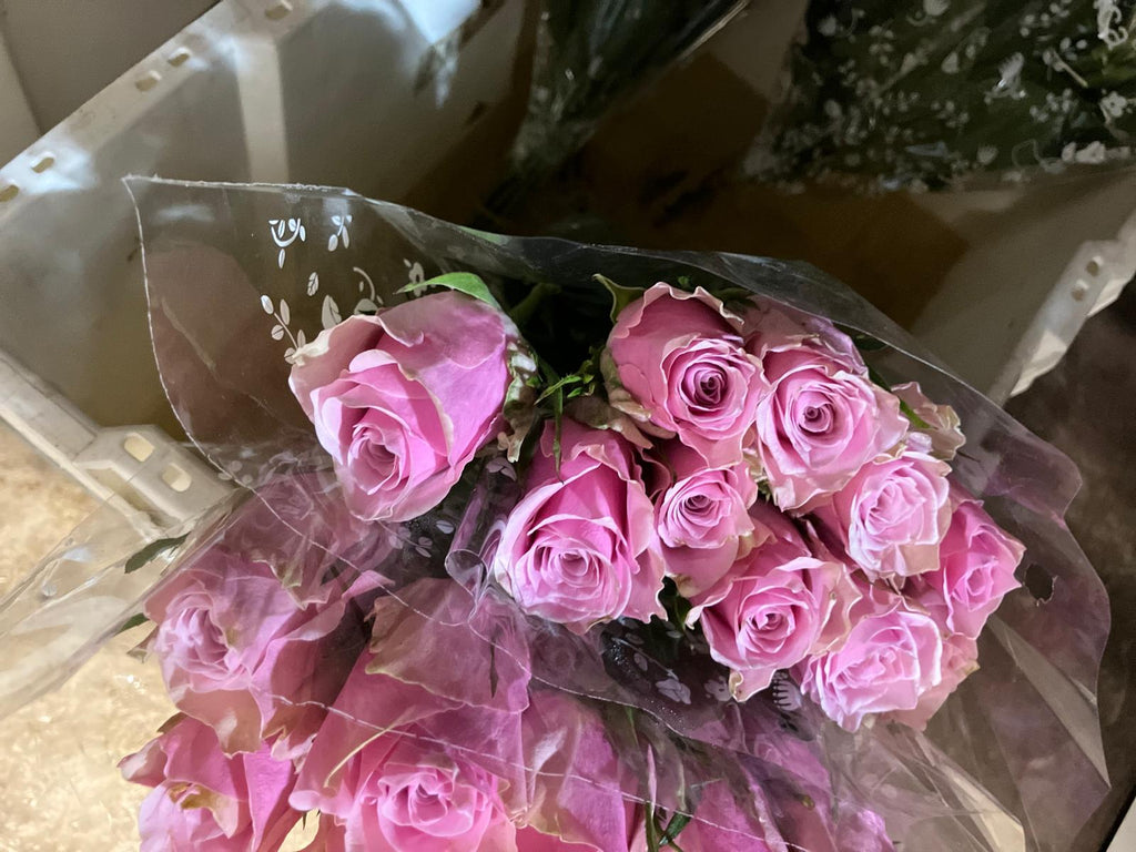 African roses - MIX (light-dark pink, two tones, orange)