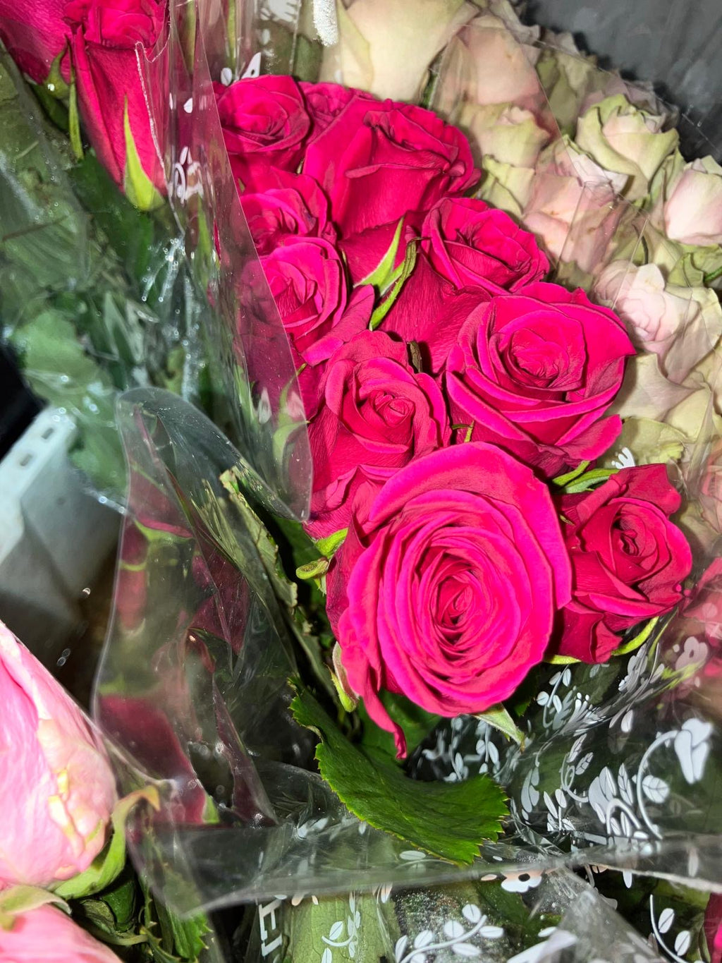African roses - MIX (light-dark pink, two tones, orange)