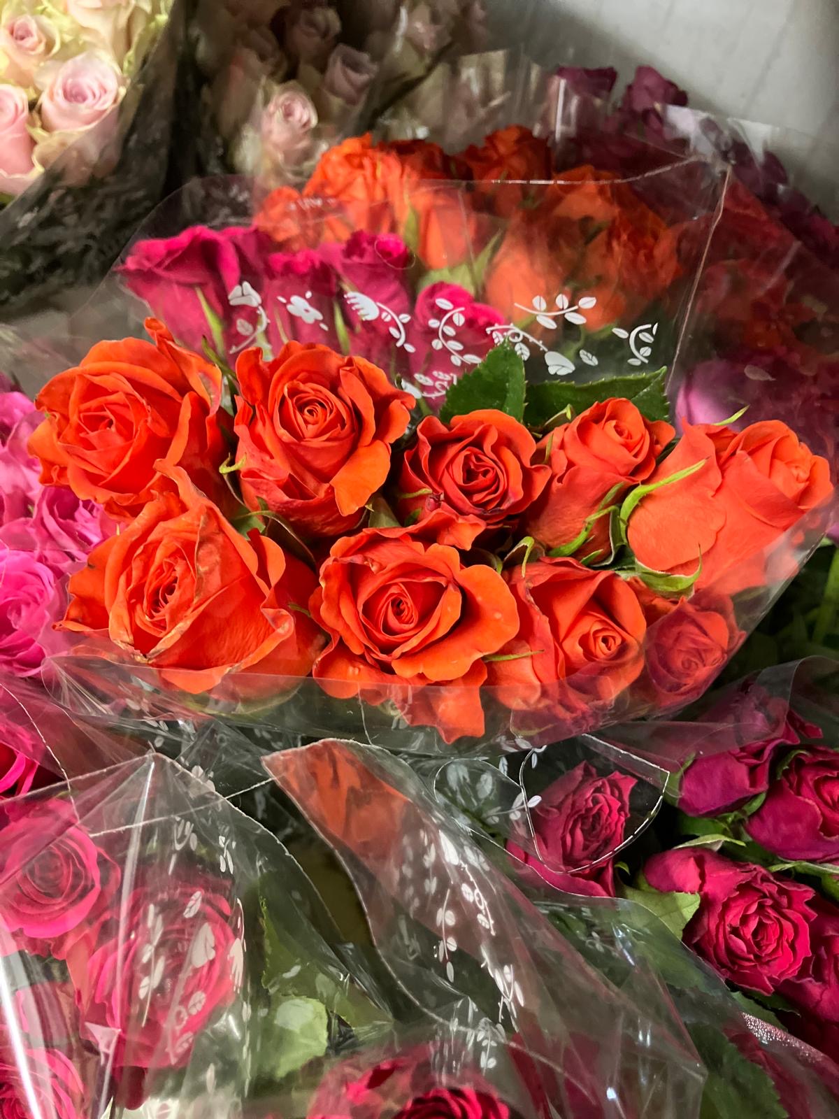 African roses - MIX (light-dark pink, two tones, orange)