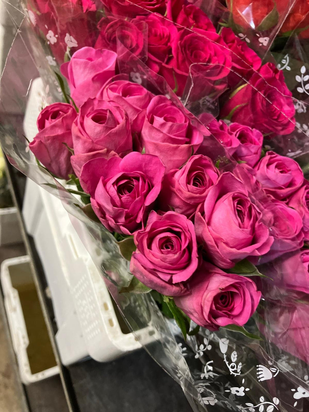 African roses - MIX (light-dark pink, two tones, orange)