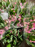 Alstomeria