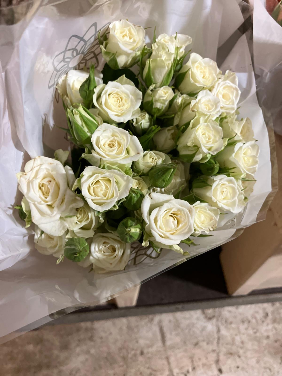 Spray Roses