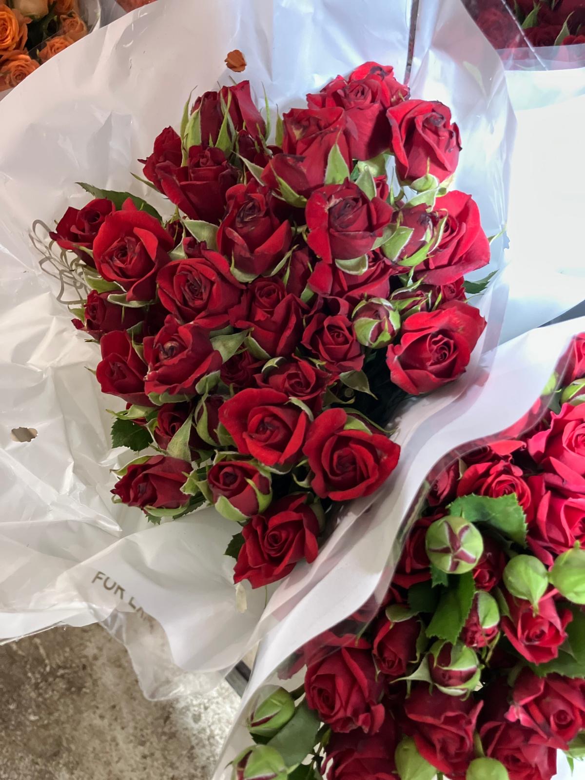 Spray Roses