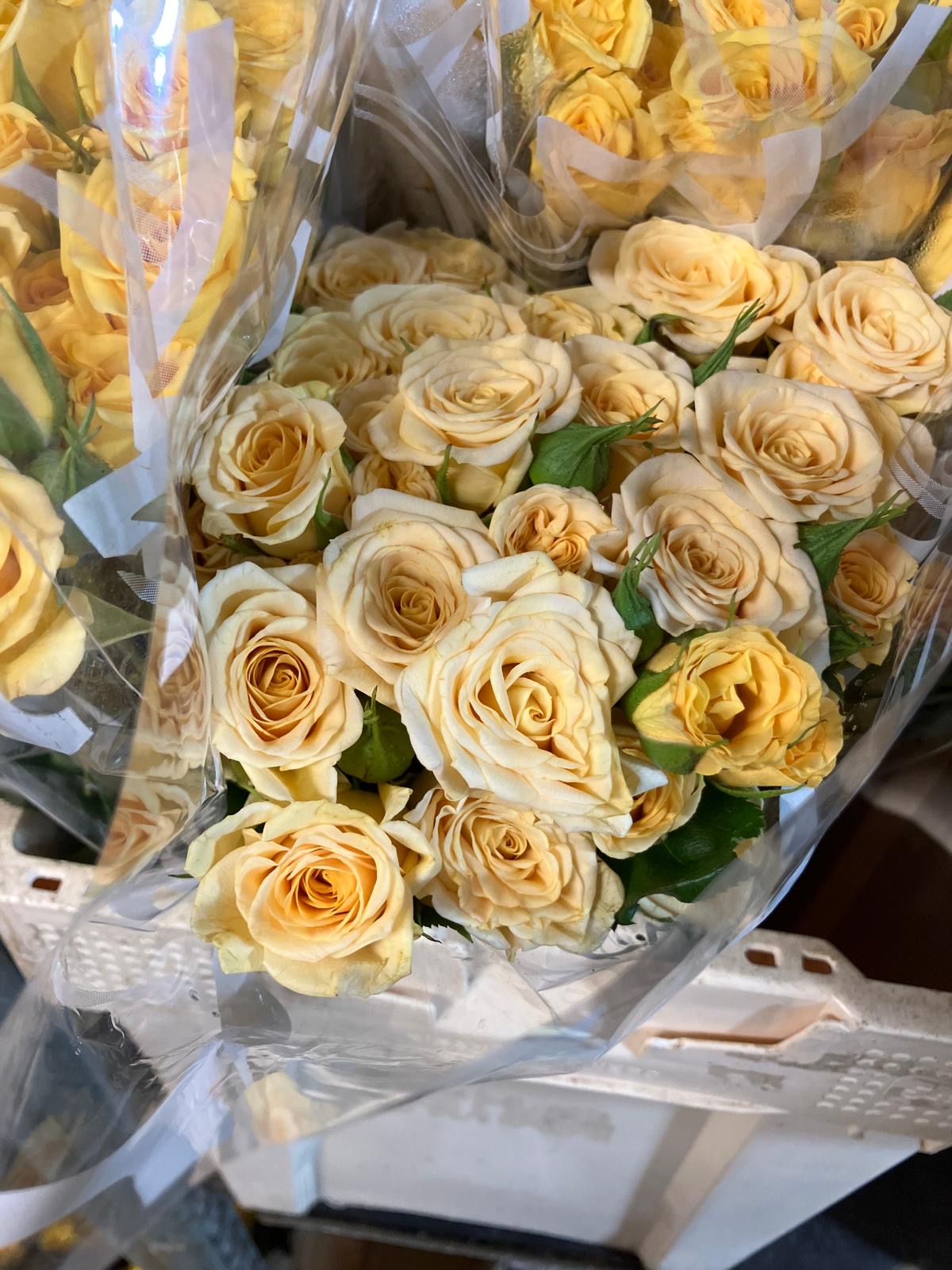 Spray Roses