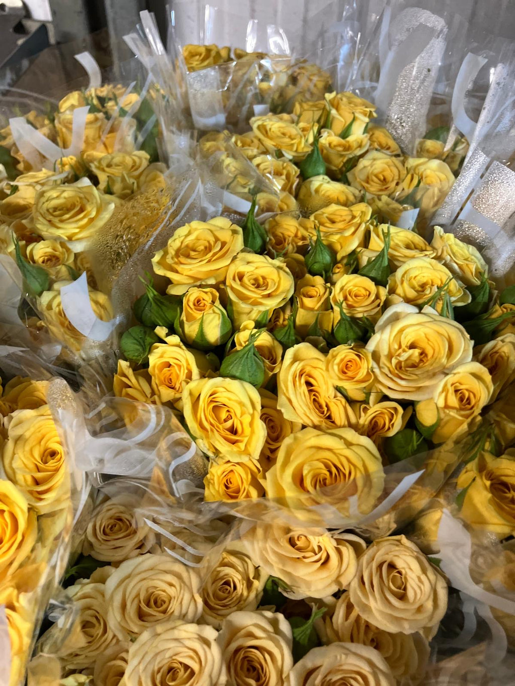Spray Roses