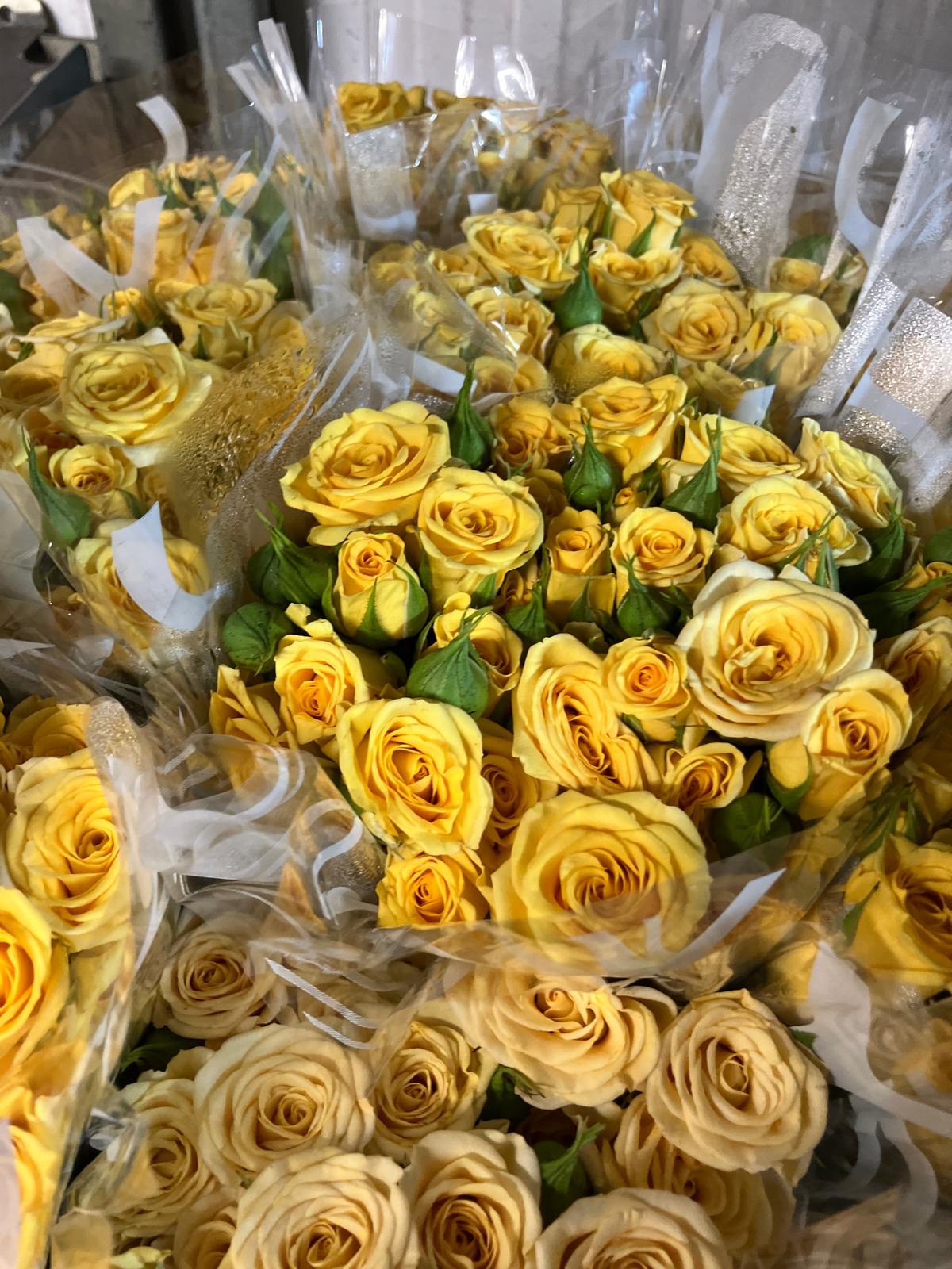 Spray Roses