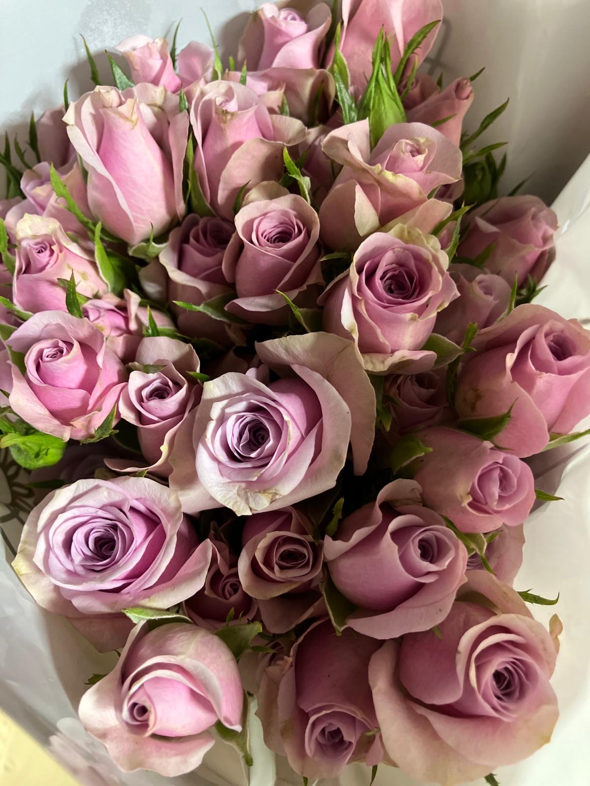 Spray Roses