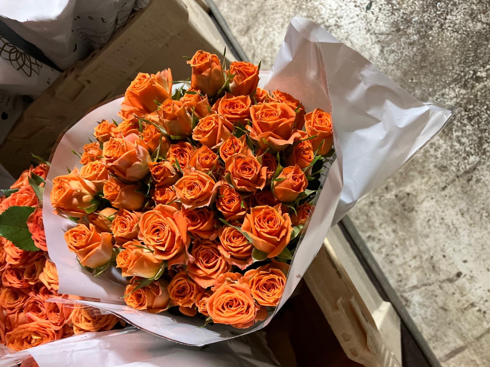 Spray Roses