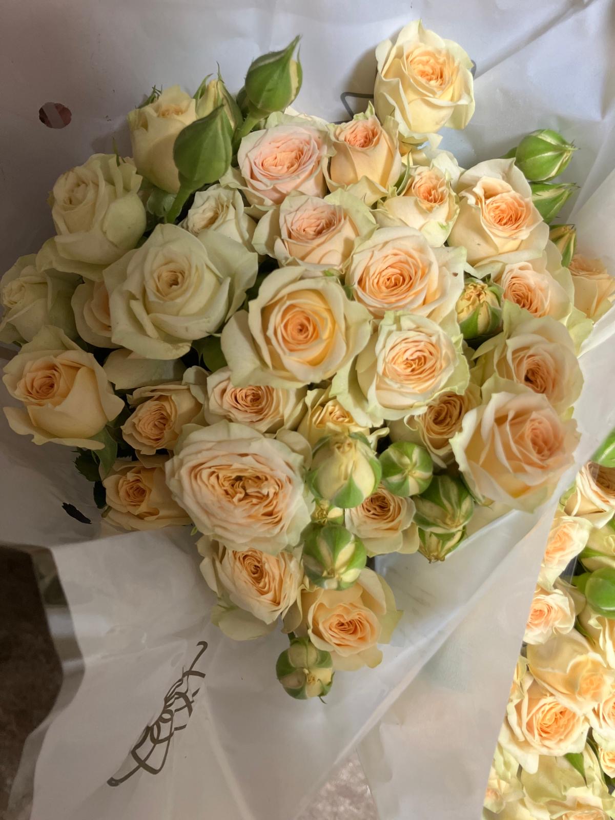 Spray Roses