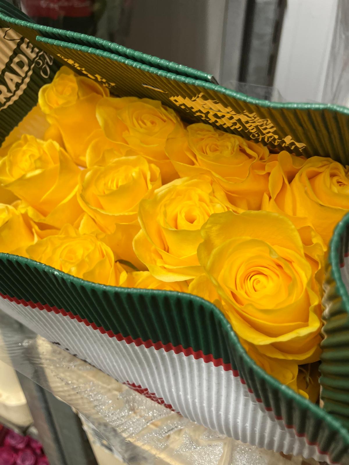 Ecuadorian ROSE
