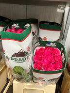 Ecuadorian ROSE