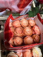 Ecuadorian ROSE