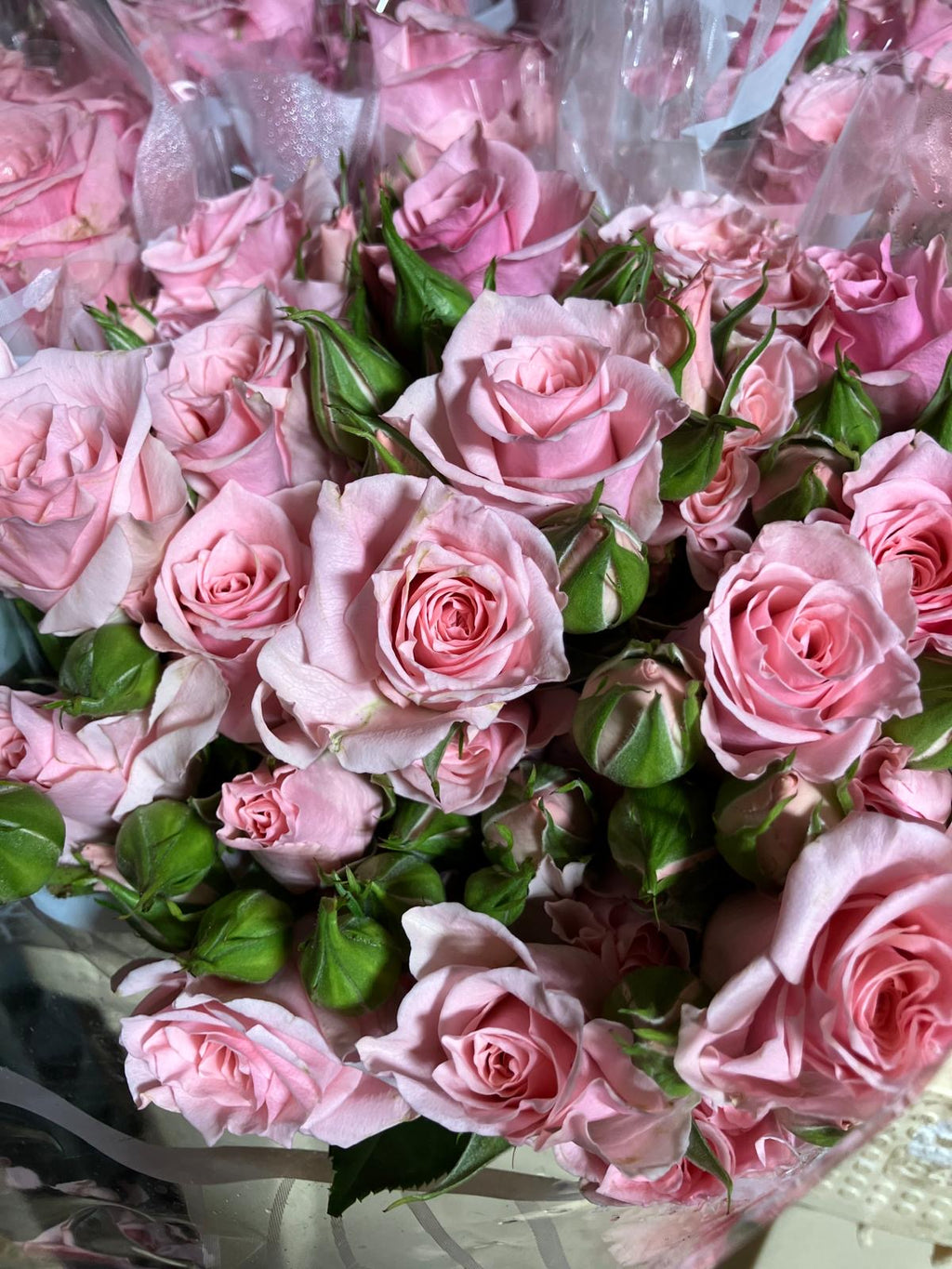 Spray Roses