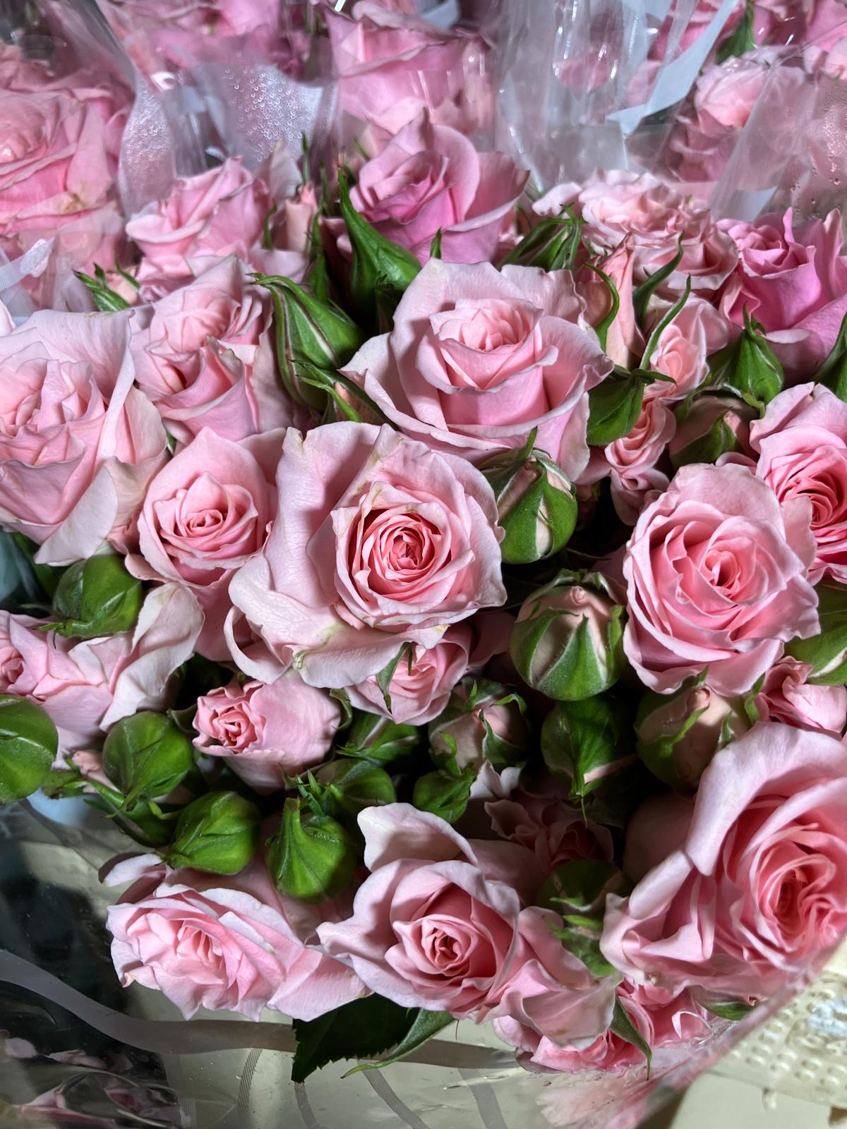 Spray Roses