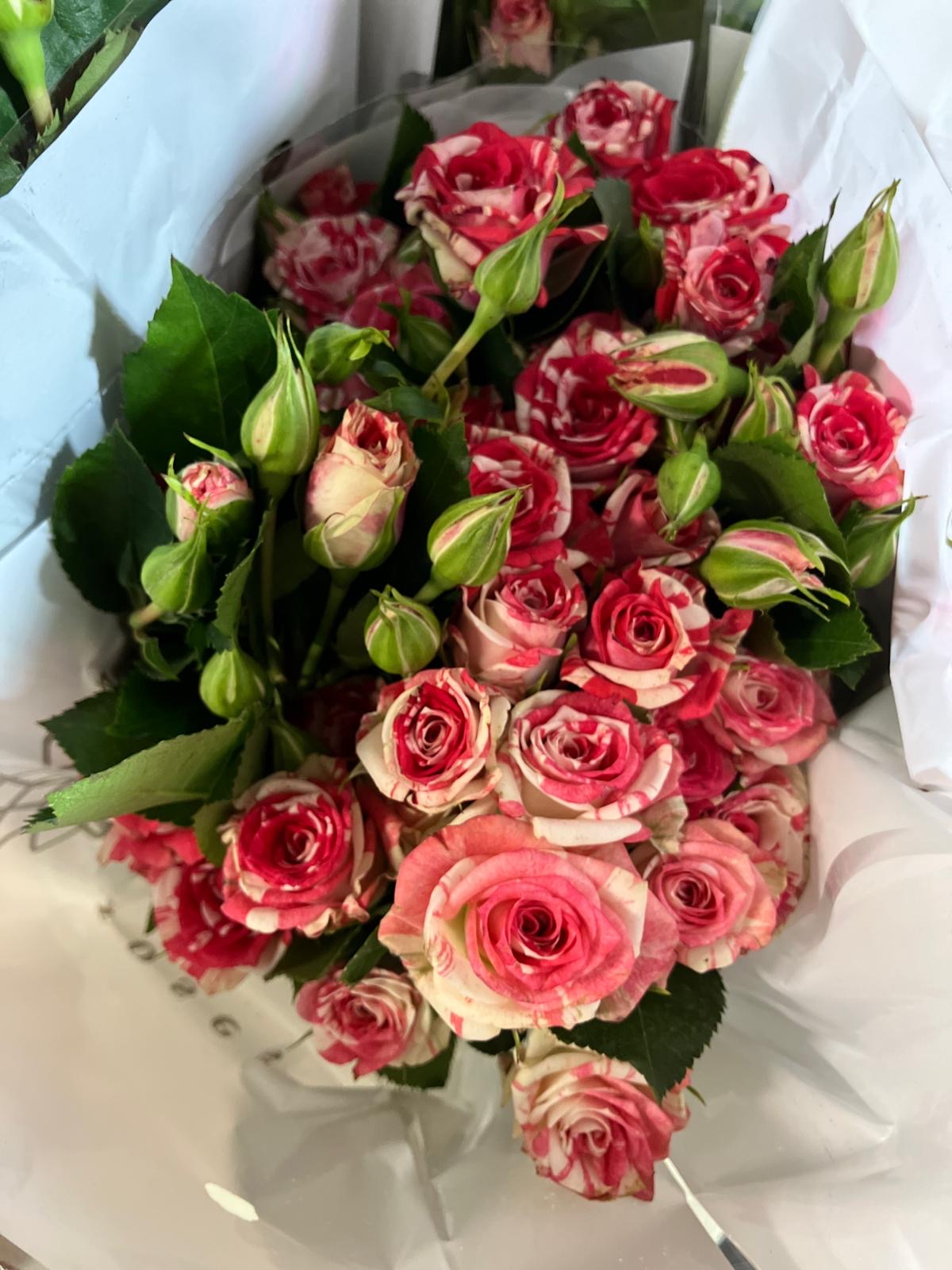 Spray Roses