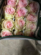 Ecuadorian ROSE