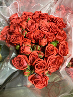 Spray Roses