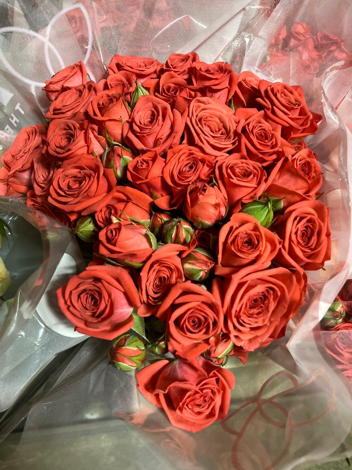 Spray Roses