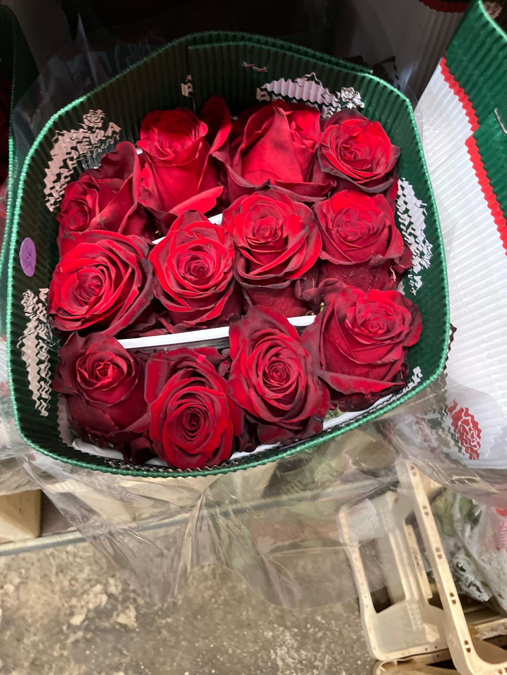 Ecuadorian ROSE
