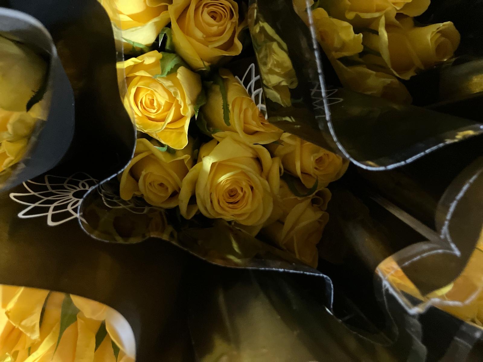 African rose