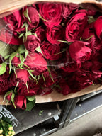 African rose