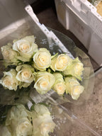 African rose