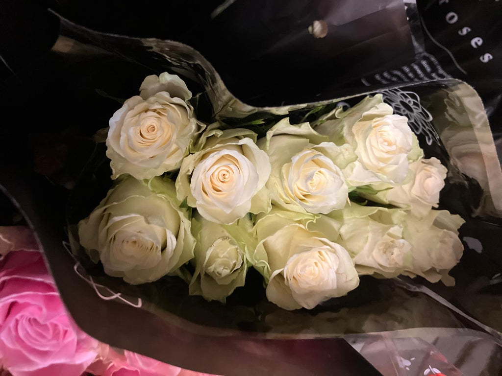 African rose