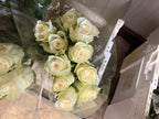 African rose